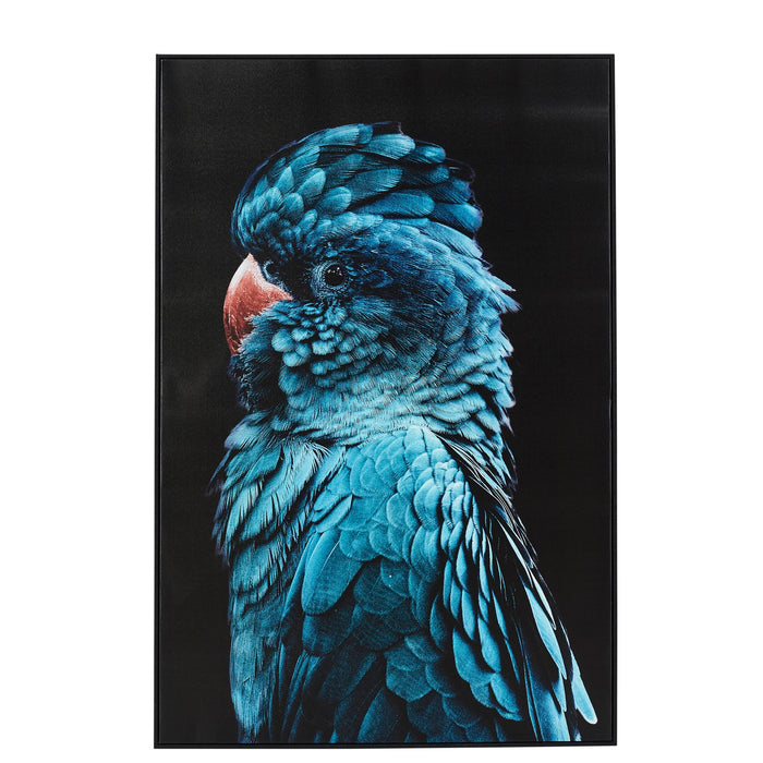 Blue Teal Charles Cockatoo Framed Print 120x80cm