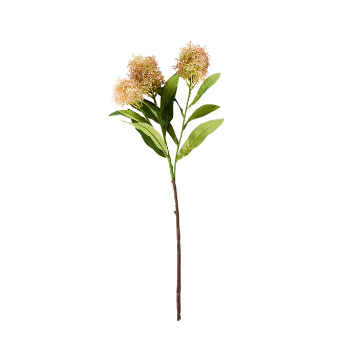 Bloomery Viburnum Stem Pink 57cm