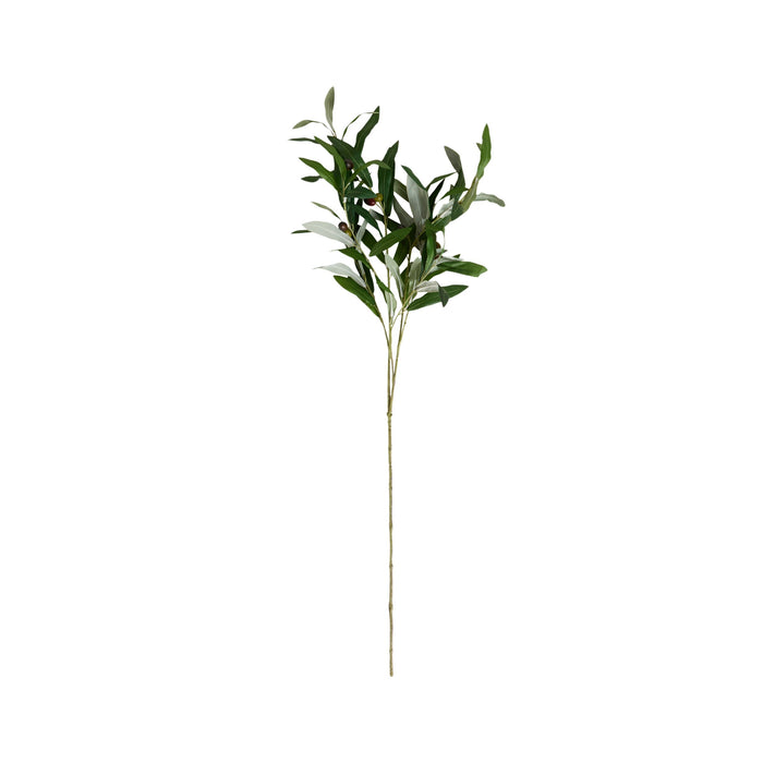 Bloomery Olive Branch Stem 85cm