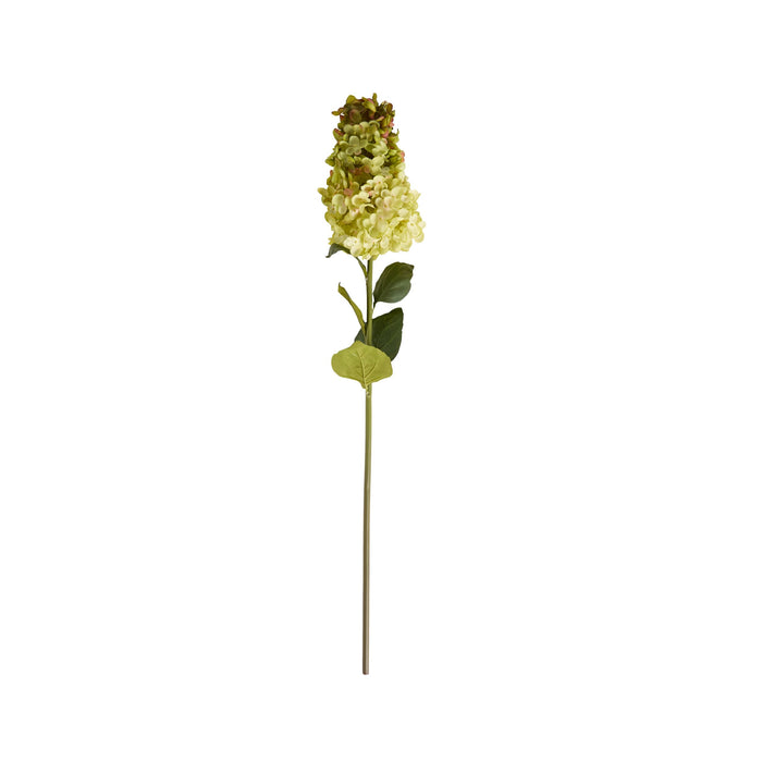 Bloomery Panicle Hydrangea Stem Green 95cm