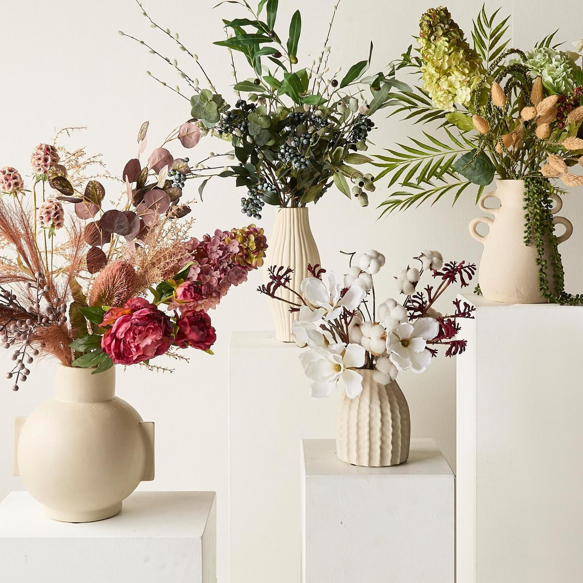 All Plants & Flowers