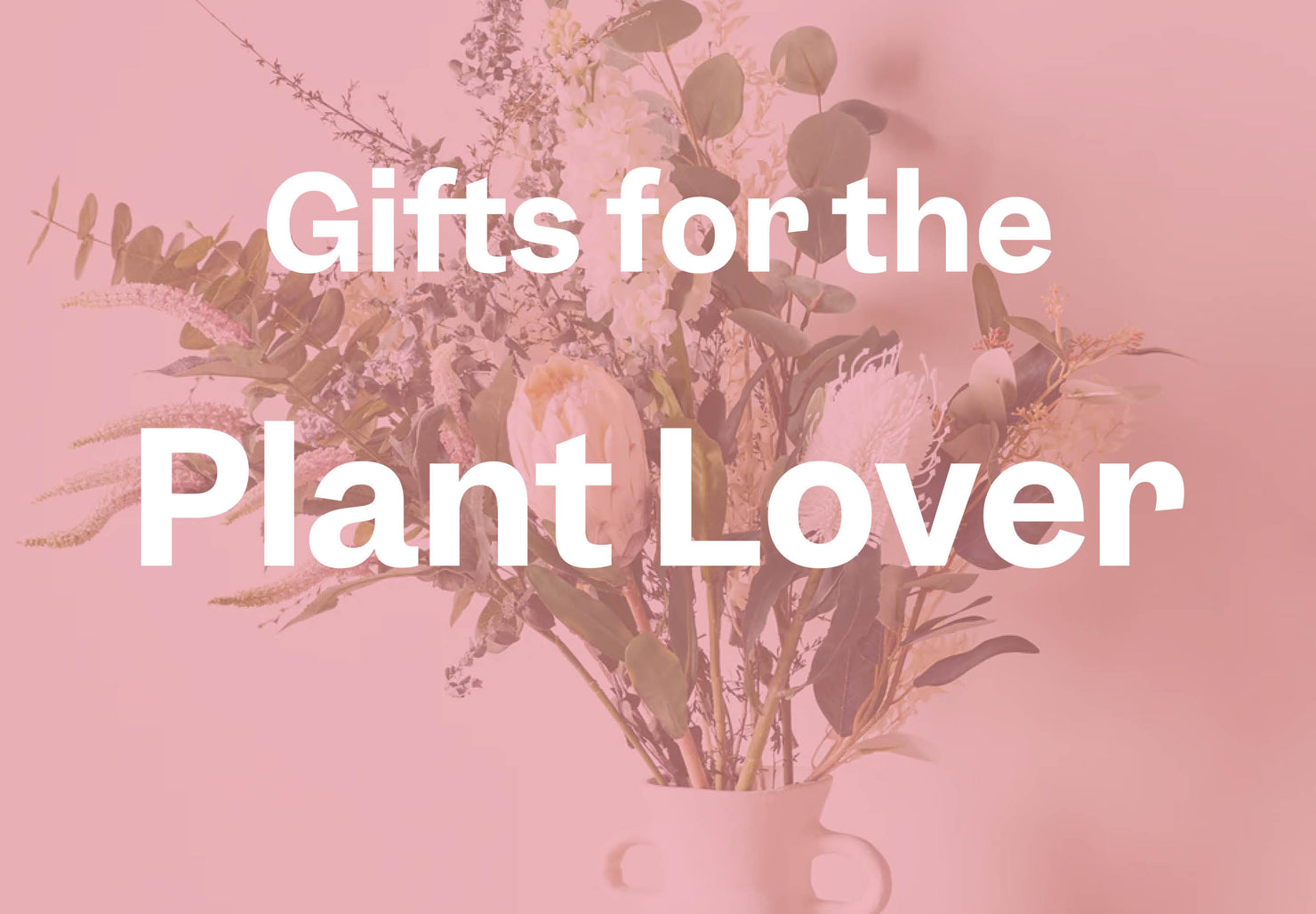 Gifts For The Plant Lover