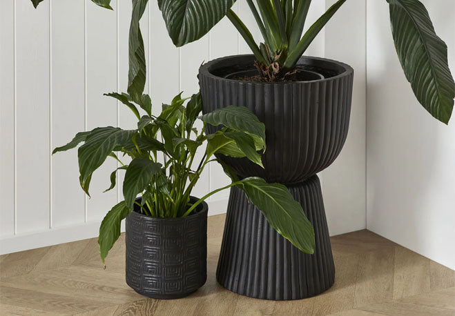 Plant Pots & Planters