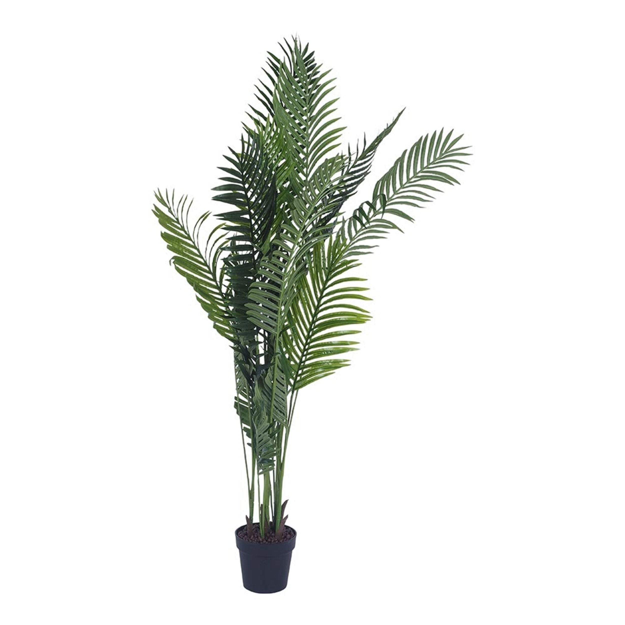 Eden Potted 175cm Areca Palm