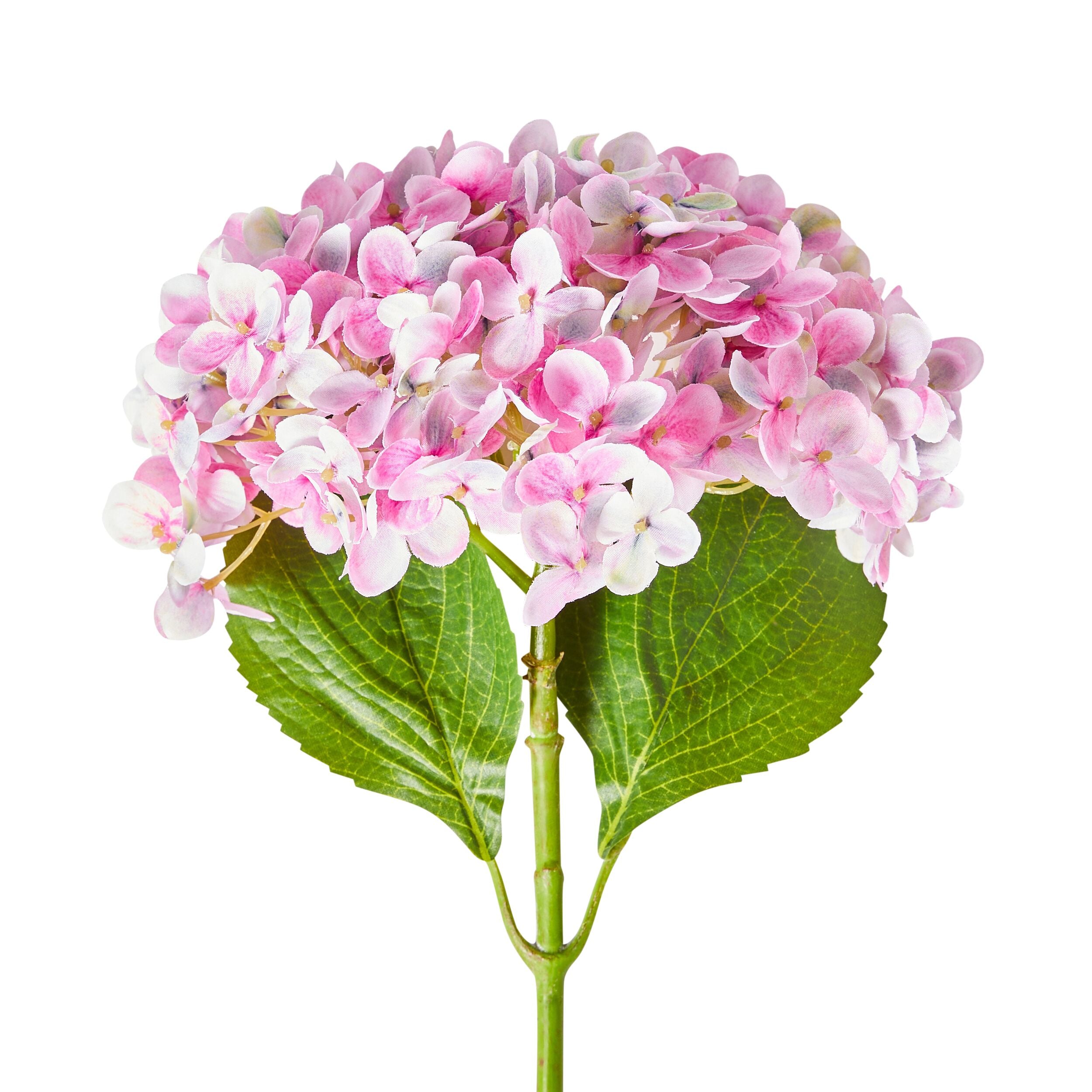 Acacia Hydrangea Pale Pink 63cm