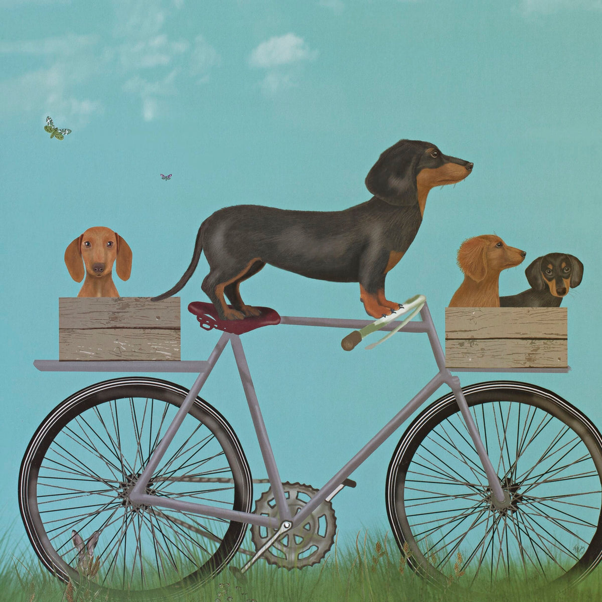 Dachshunds On Bicycle Framed Print 55x45cm