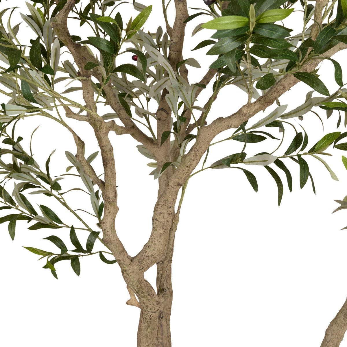 Grand JardiniÃ¨re Olive Tree Palm 230cm