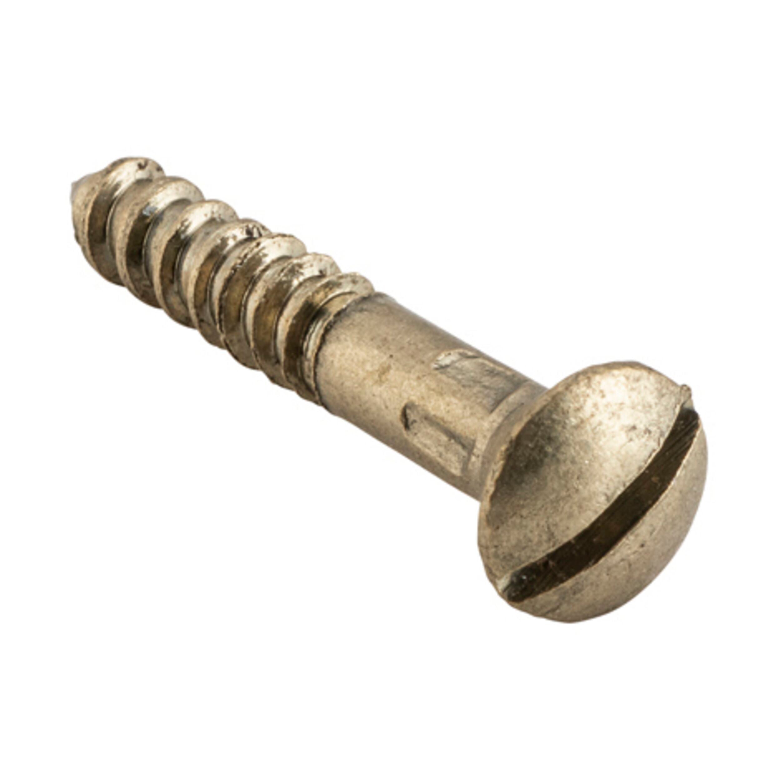 SCSB19 Screw Domed Head Satin Brass 19mm PKT 50