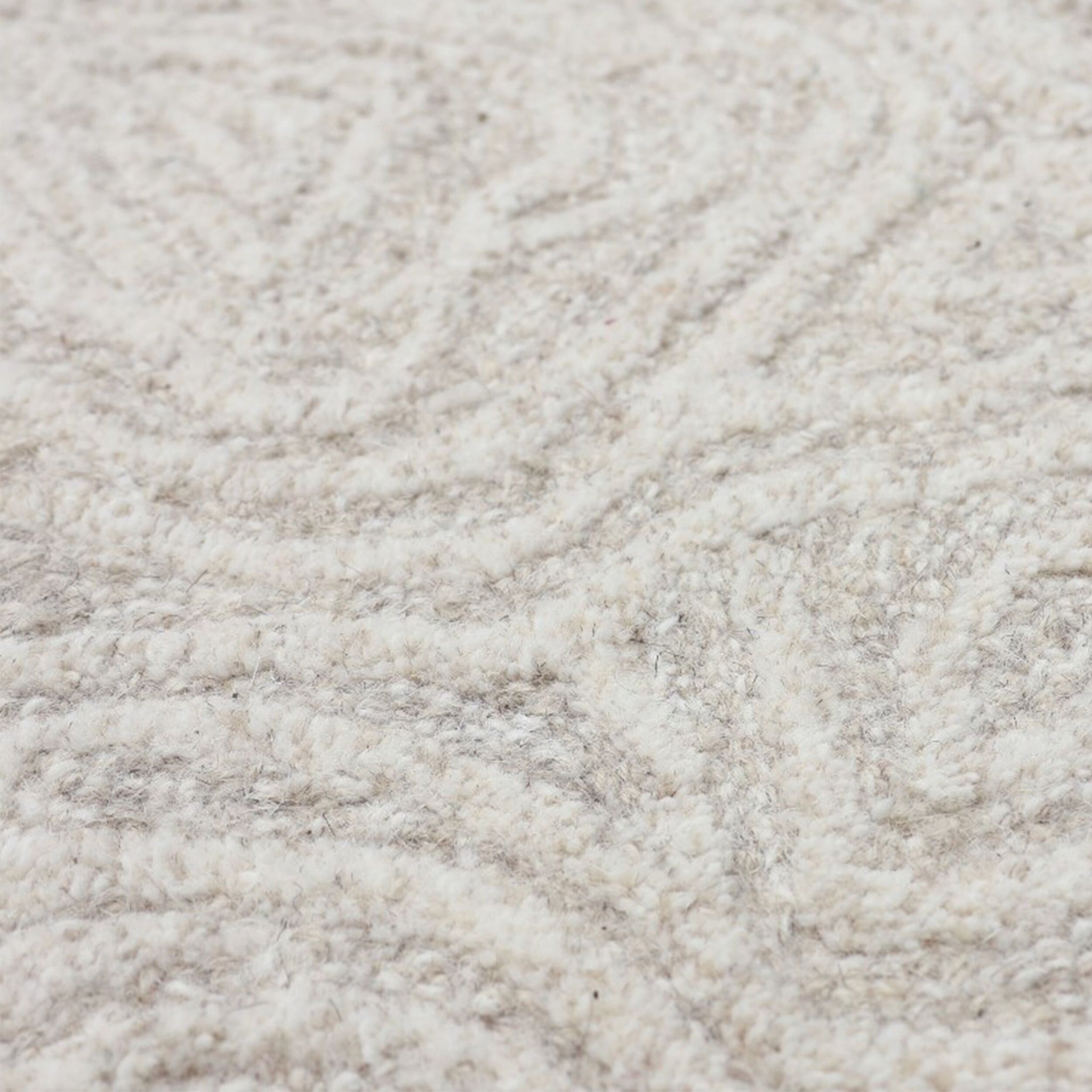 Floral Etchings Wool Rug 150x240cm