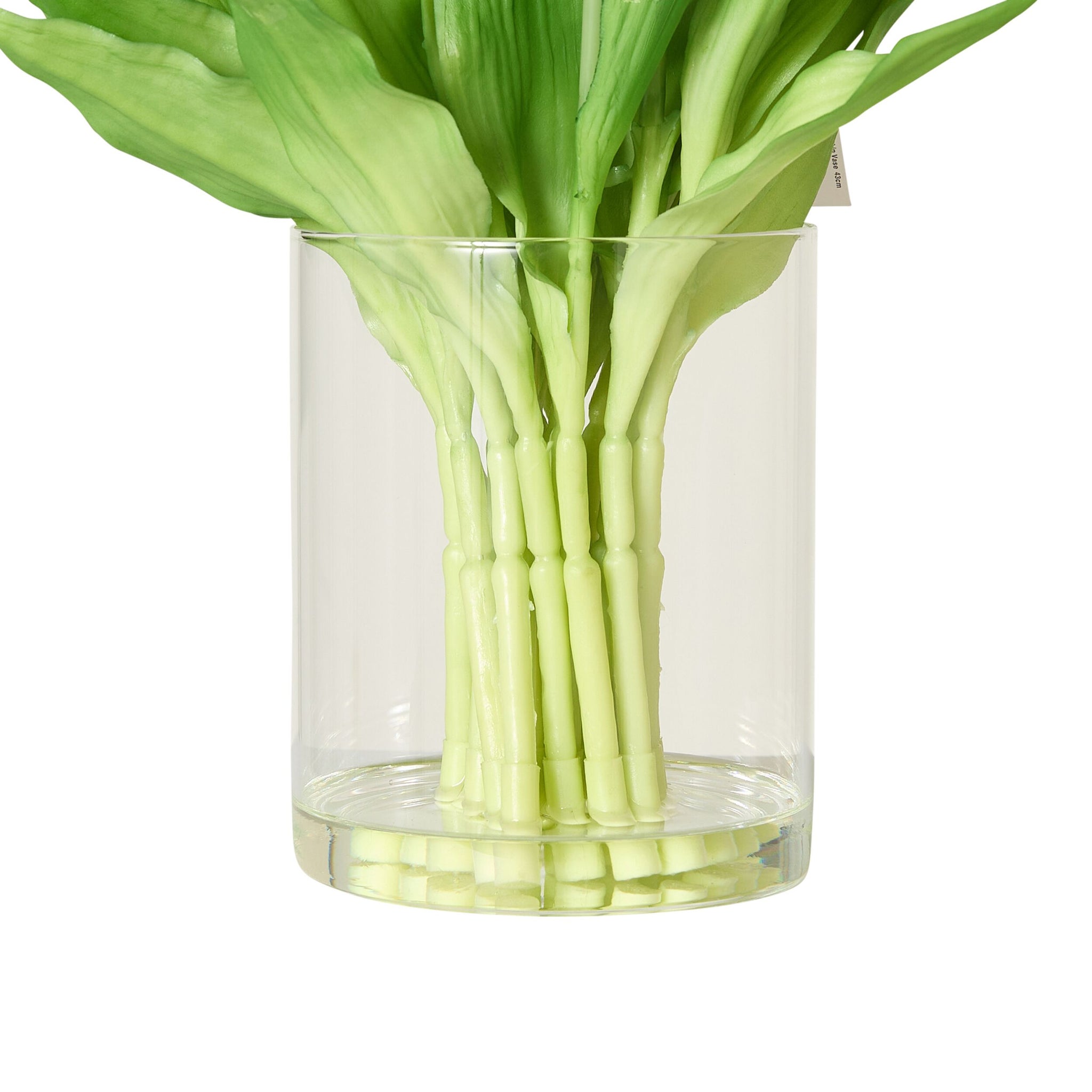 Floriana White Tulip Arrangement in Vase 43cm