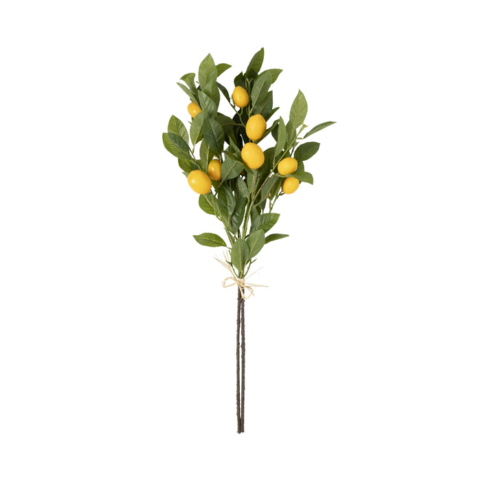 Bloomery Lemon Stem 81cm