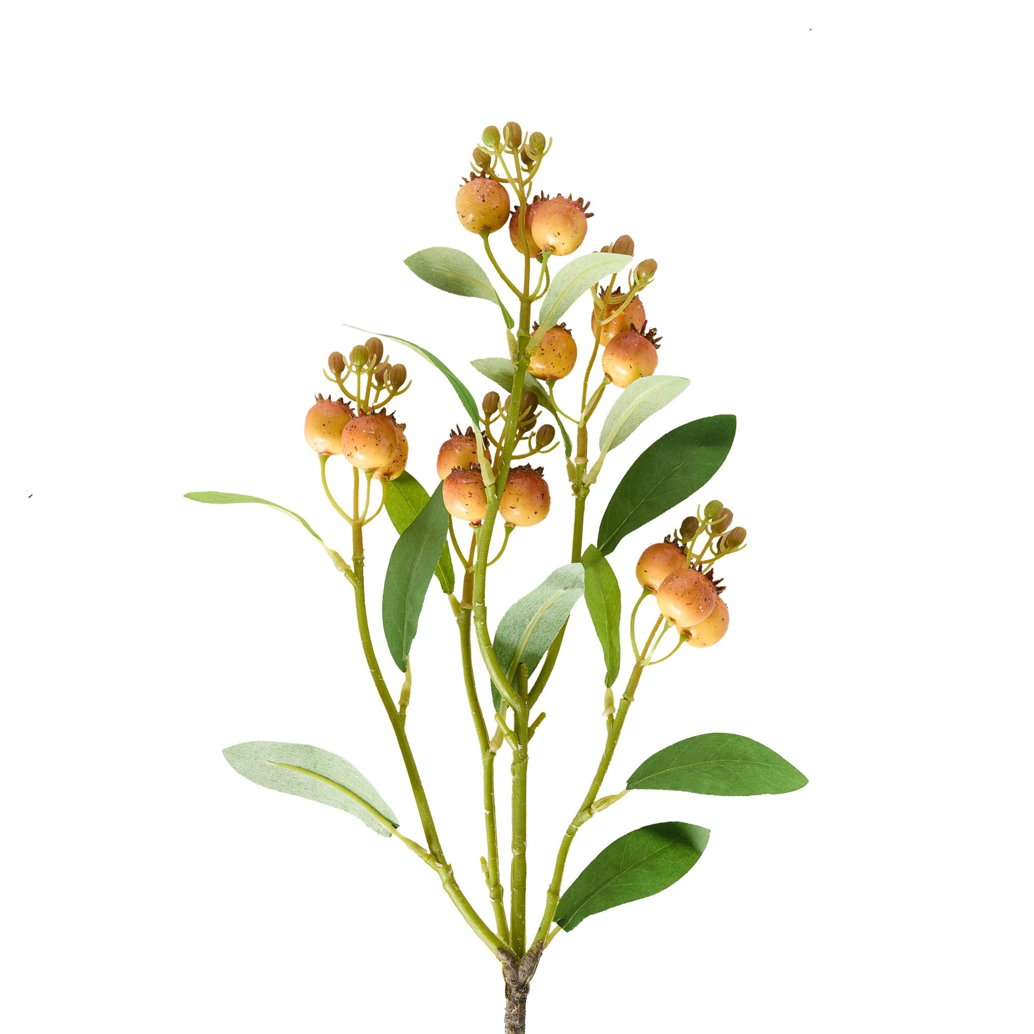 Bloomery Yellow Gumnut Pod Stem 64cm