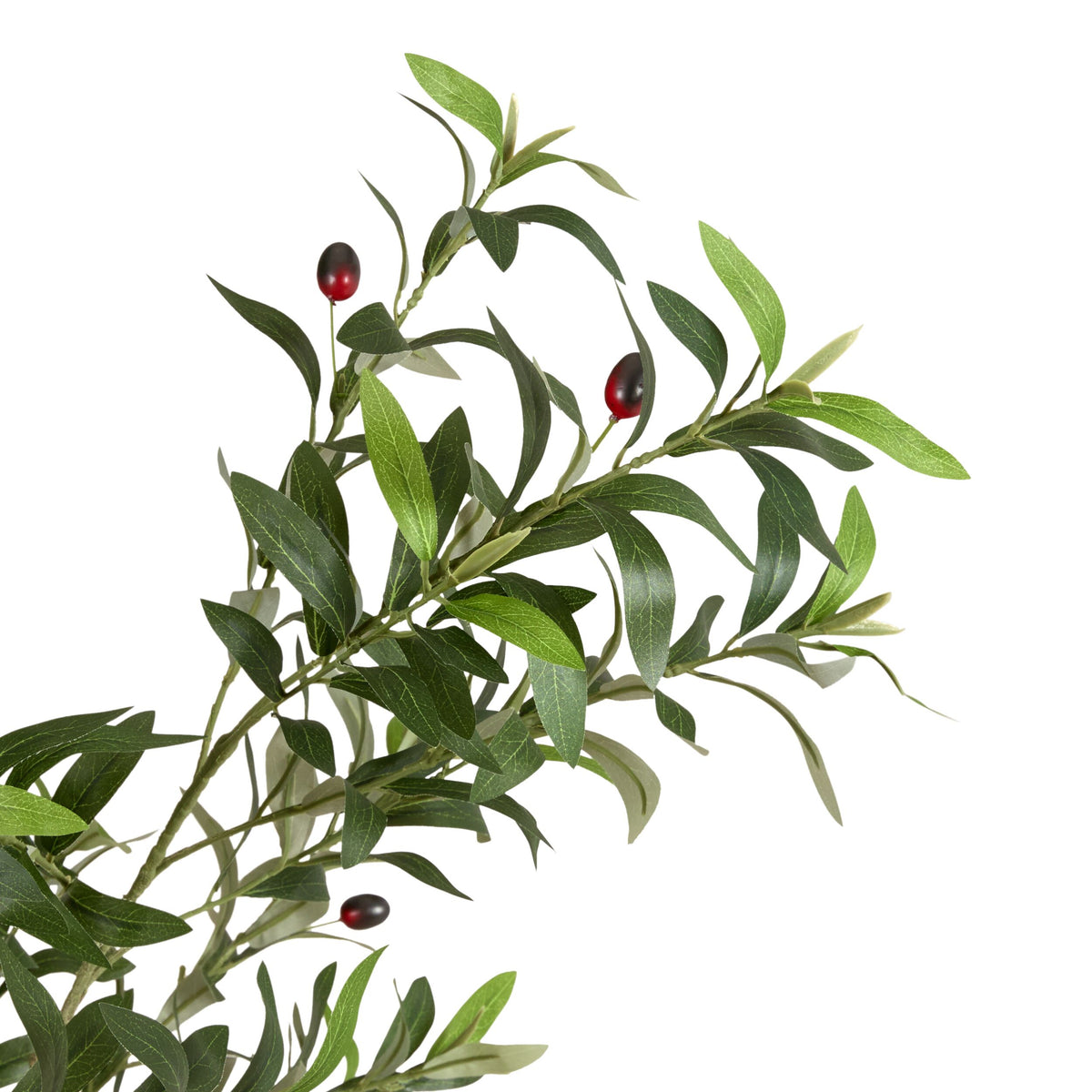 Grand JardiniÃ¨re Olive Tree Palm 230cm