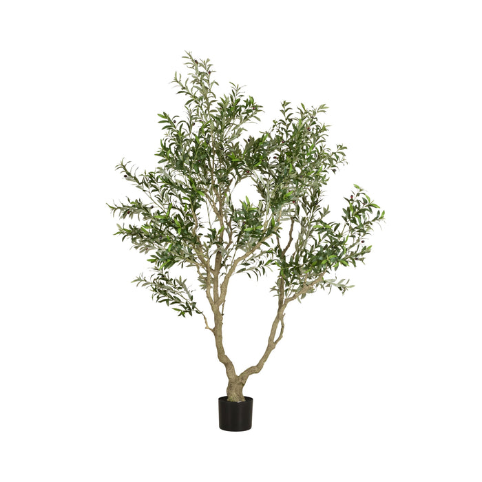 Grand JardiniÃ¨re Olive Tree Palm 230cm