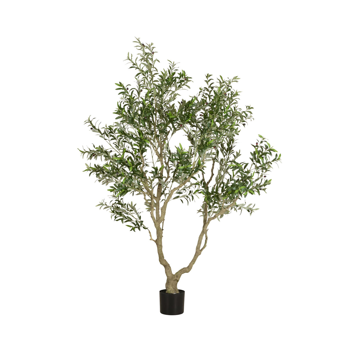 Grand JardiniÃ¨re Olive Tree Palm 230cm