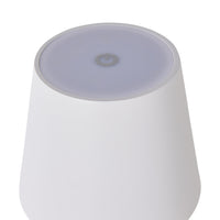 Alexa Palm Leaf Portable Lamp with LED 29cm