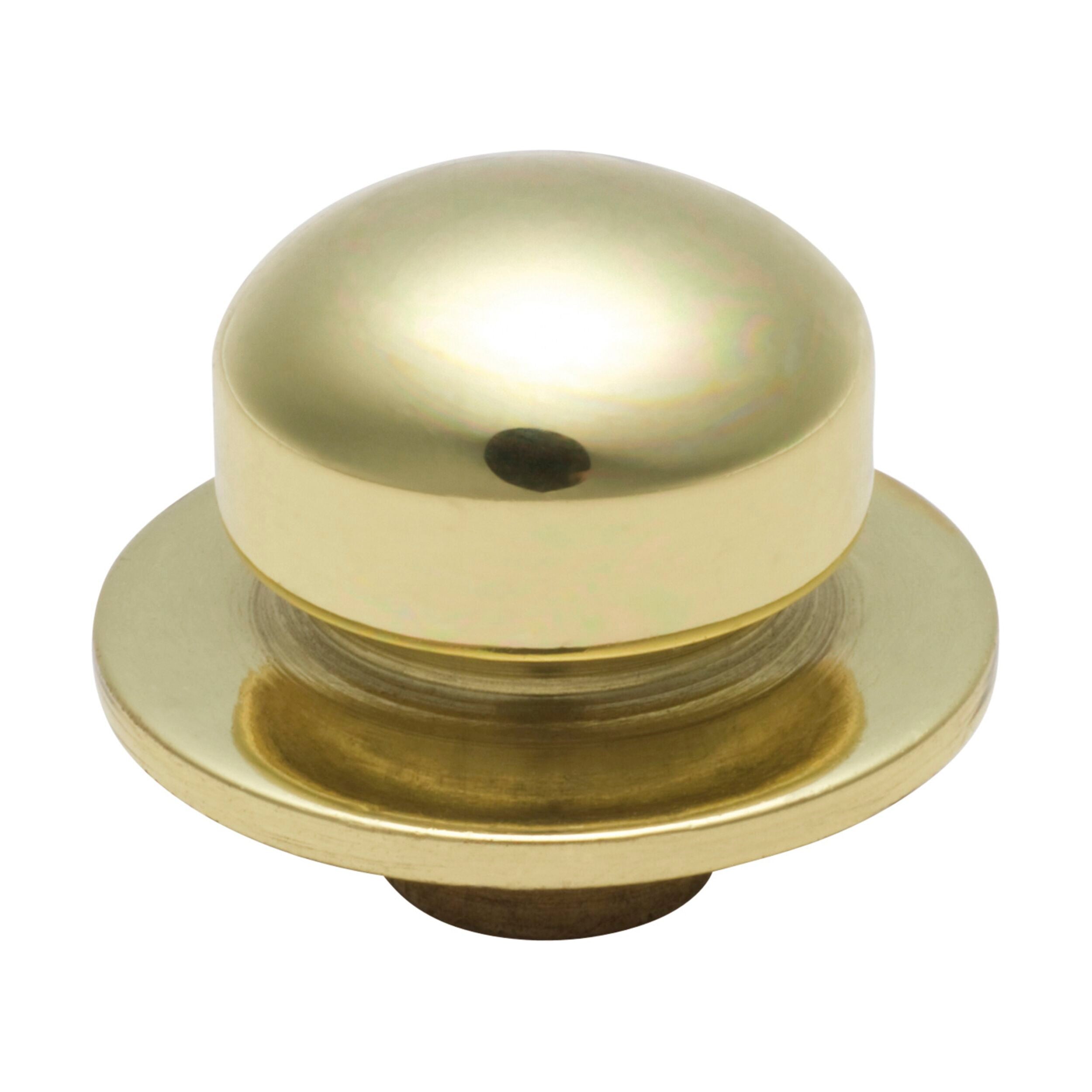 5402 Component Dimmer Knob Polished Brass