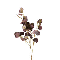 Bloomery Plum Eucalyptus Stem 102cm