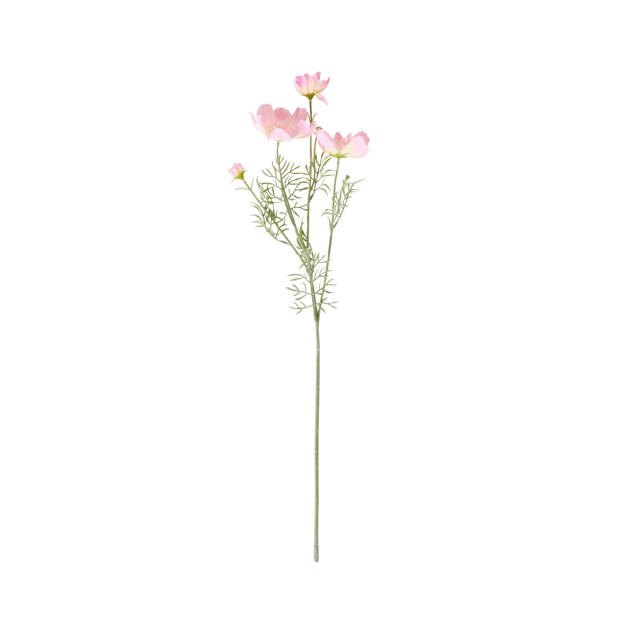 Bloomery Cosmos Stem Soft Pink 76cm