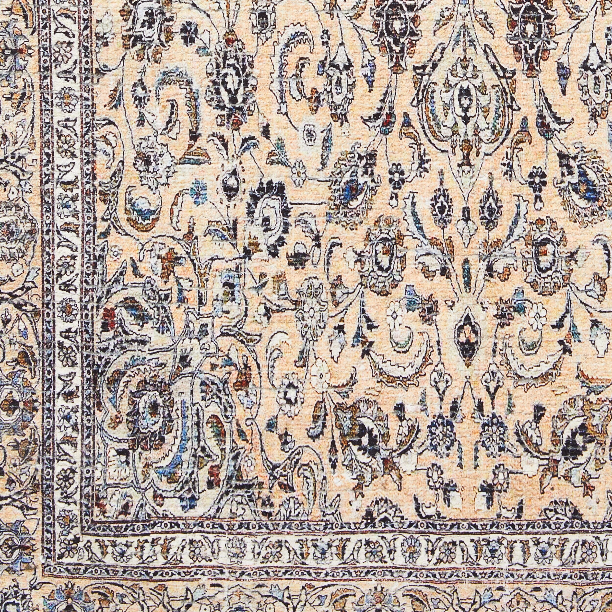 Aditya Vintage Persian Reversible Rug 70x150cm