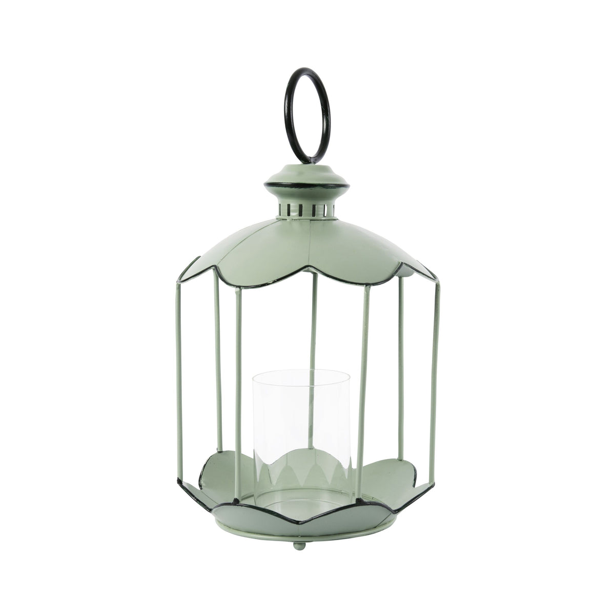 Hattie Scalloped Lantern Eucalyptus