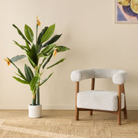 lifestyle_insitu: