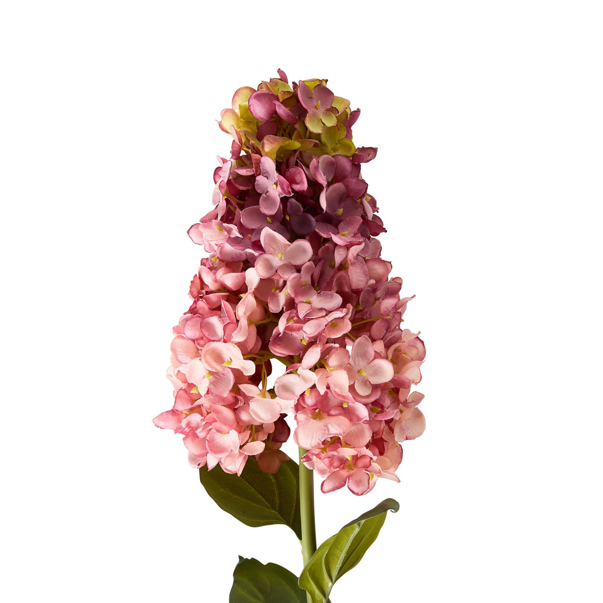 Bloomery Panicle Hydrangea Stem Mauve 95cm