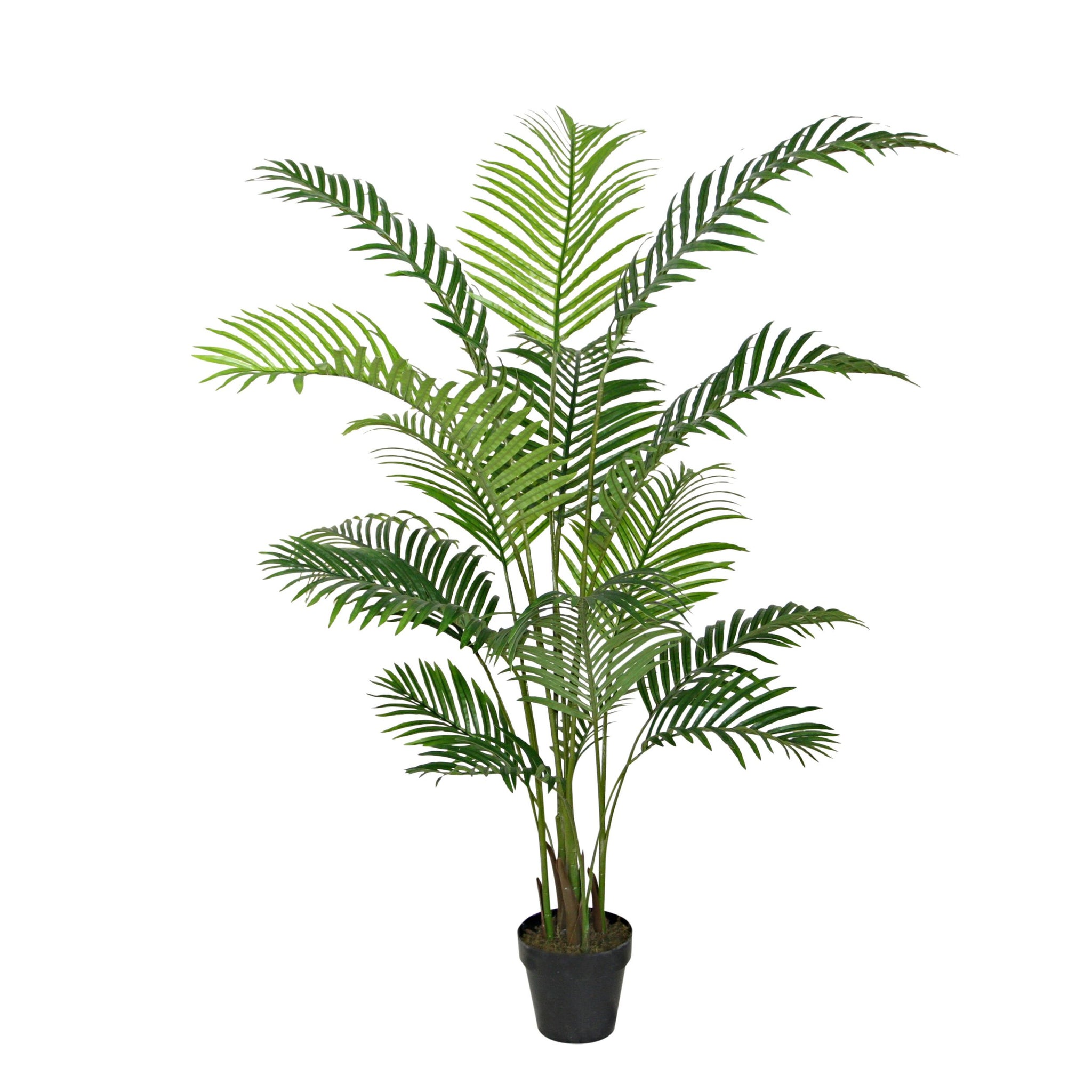 areca palm plant nz Eden Potted Faux Areca Palm Tree 160cm – Early Settler NZ