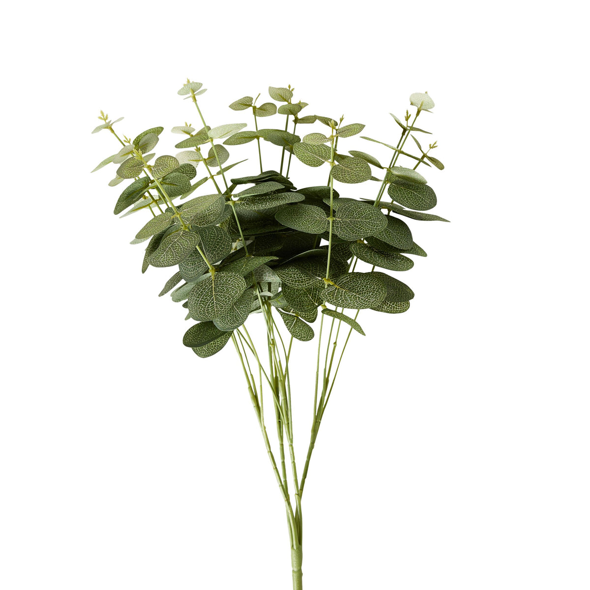Bloomery Eucalyptus Stem 46cm