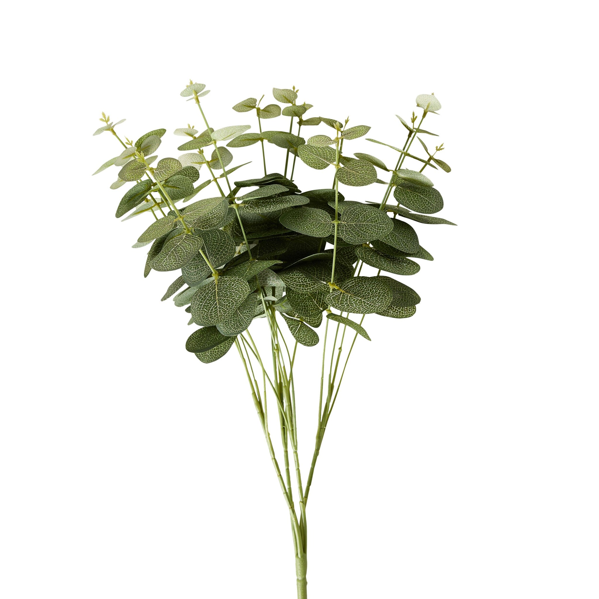 Bloomery Eucalyptus Stem 46cm