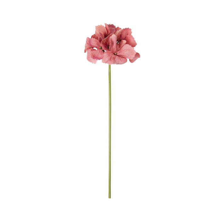 Bloomery Hydrangea Stem Spice 37cm