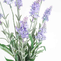 Floret lavender bush 72Cm