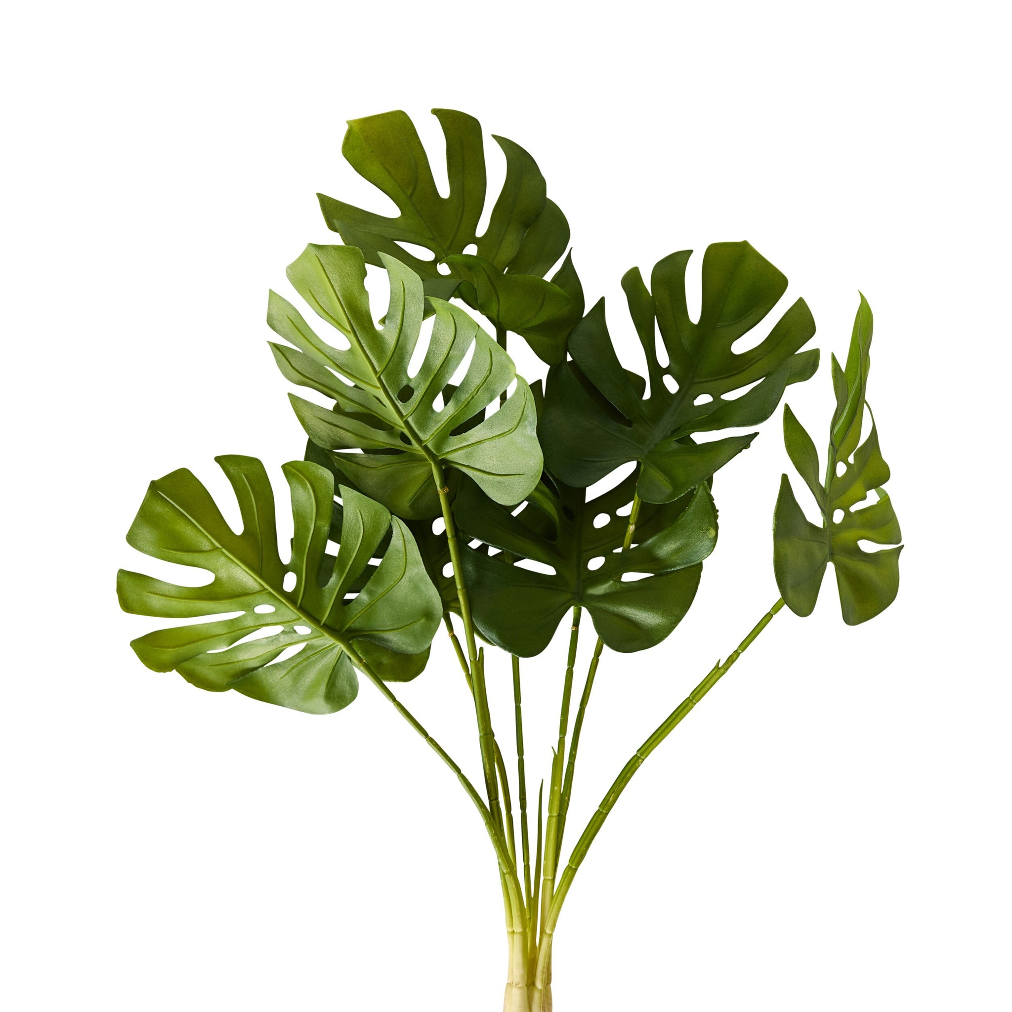 Bloomery Monstera Stem 58cm