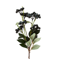 Bloomery Privet Berry Stem 69cm