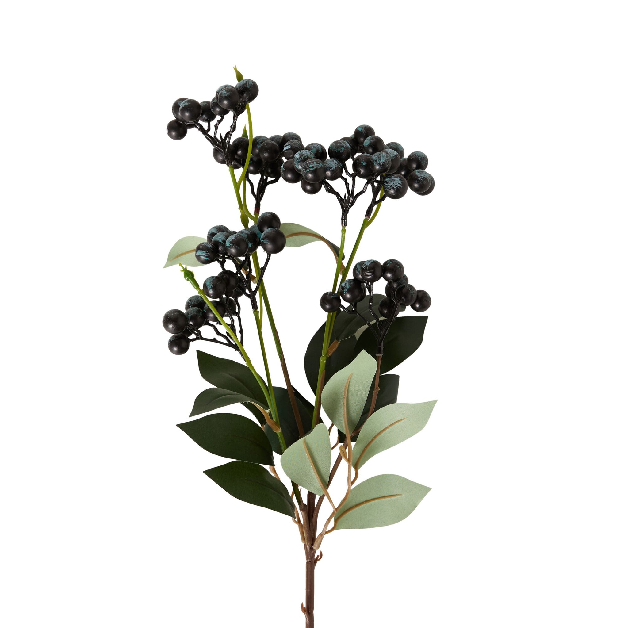 Bloomery Privet Berry Stem 69cm