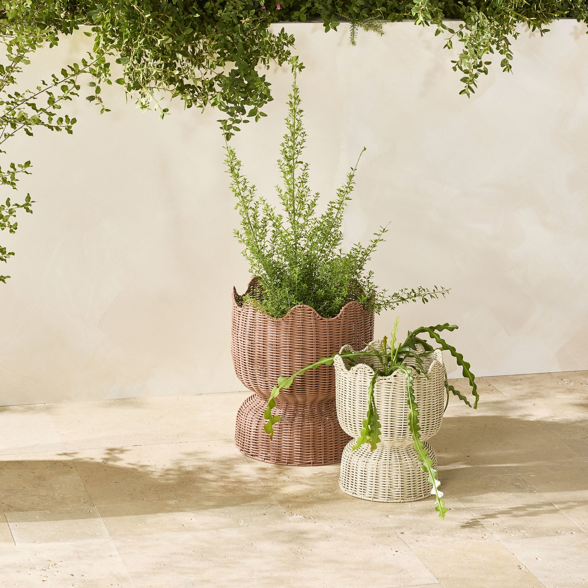 lifestyle_insitu: