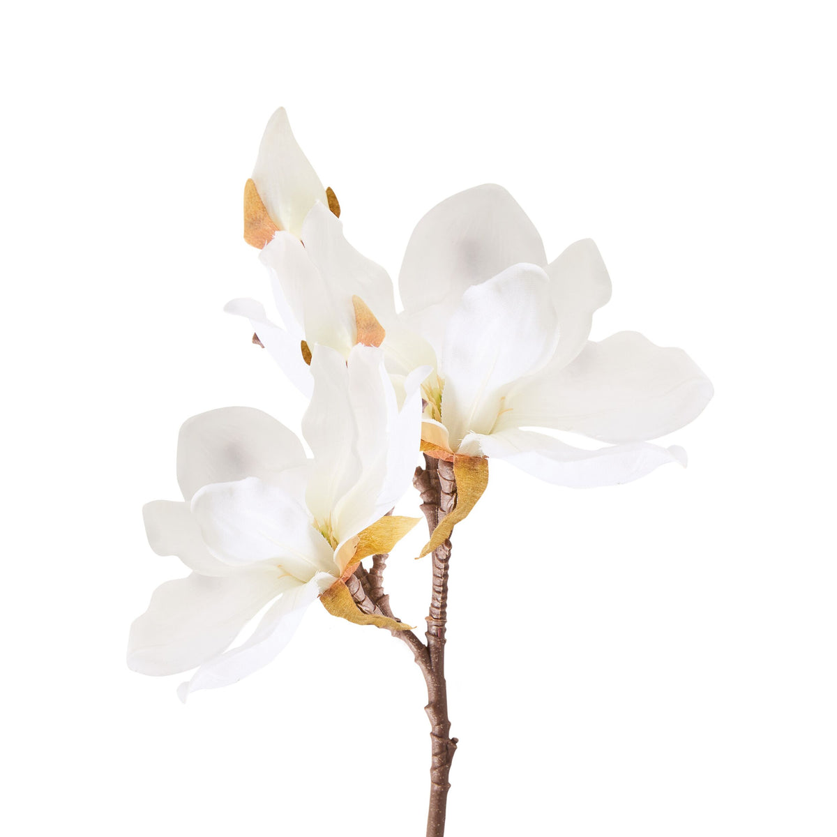Bloomery Magnolia Stem White 41cm