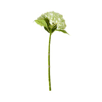 Bloomery Hydrangea Stem Soft Green 56cm