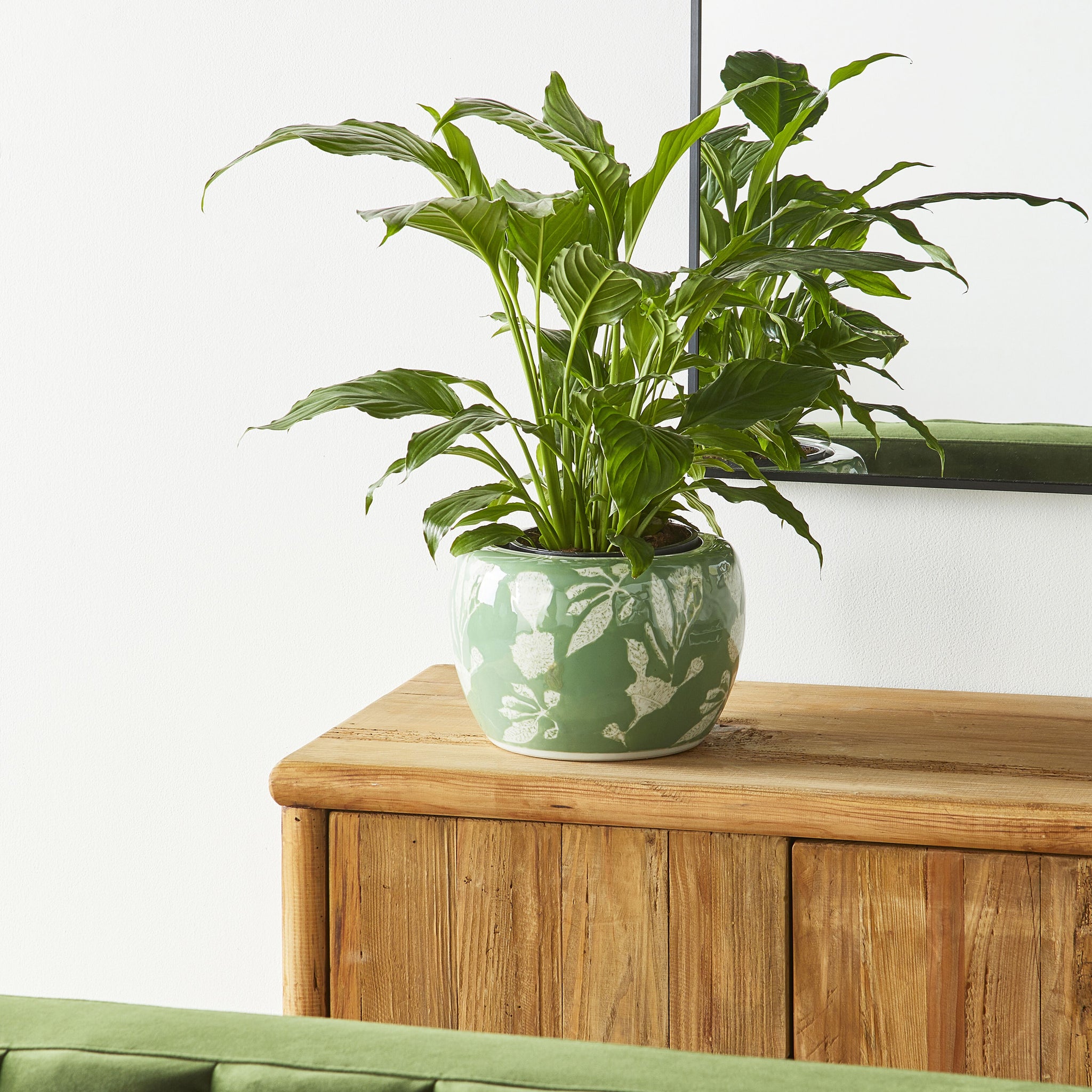 lifestyle_insitu: