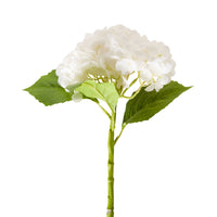 Bloomery Hydrangea Stem White 56cm