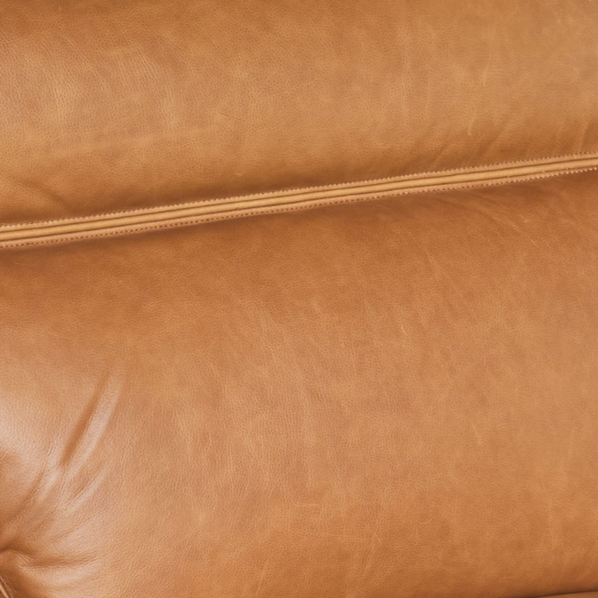 Dillon 1 Seater Leather Recliner Dakota Light Chestnut