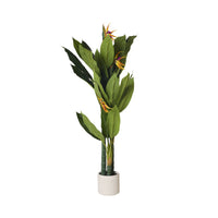 Eden Bird of Paradise 150cm