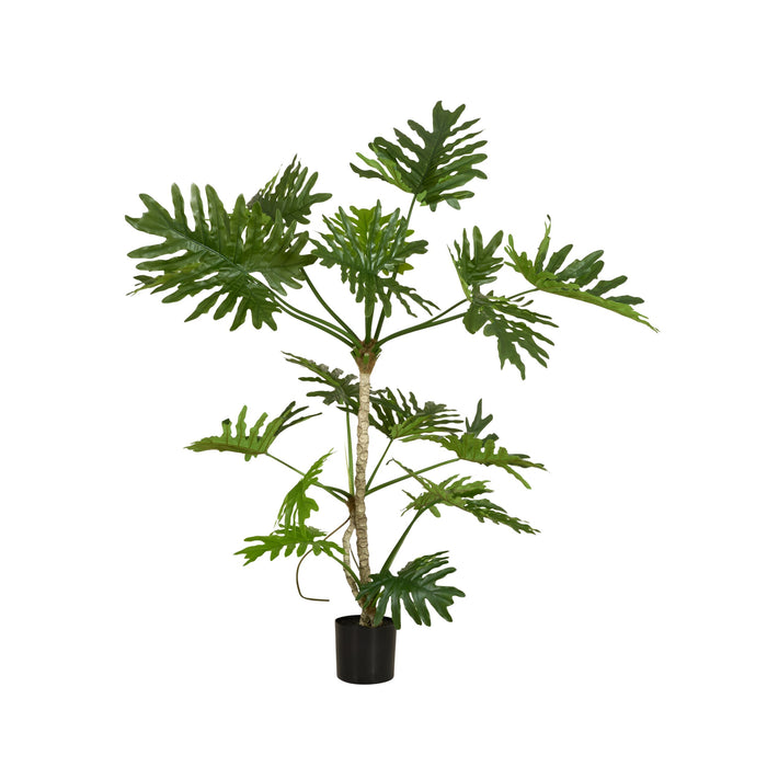 Grand JardiniÃ¨re Philodendron Tree 180cm