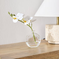 lifestyle_insitu: