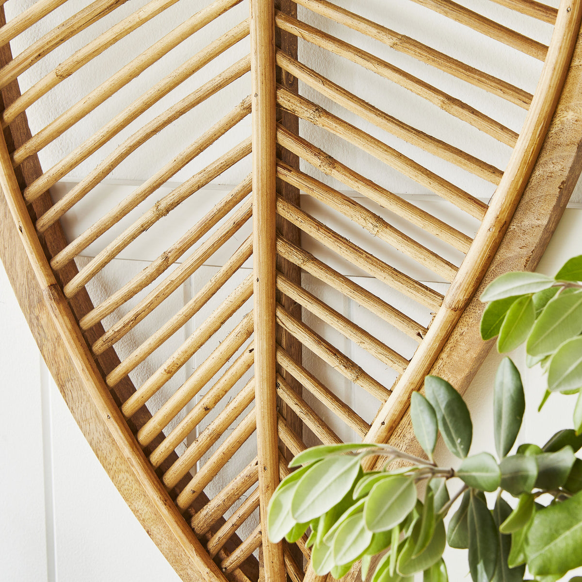 lifestyle_insitu: