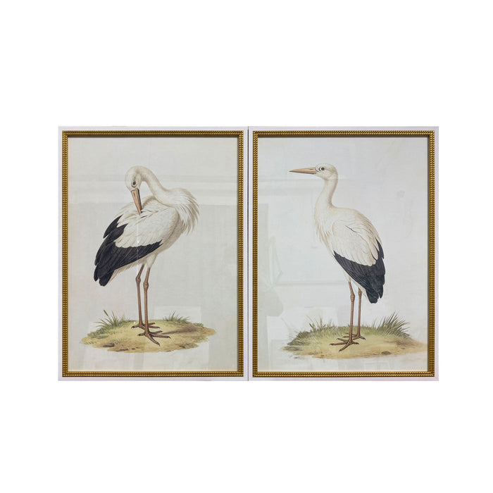 Vintage Storks Glass Framed Artwork Duo 120x80xm