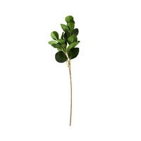 Bloomery Ficus Leaf Stem 68cm