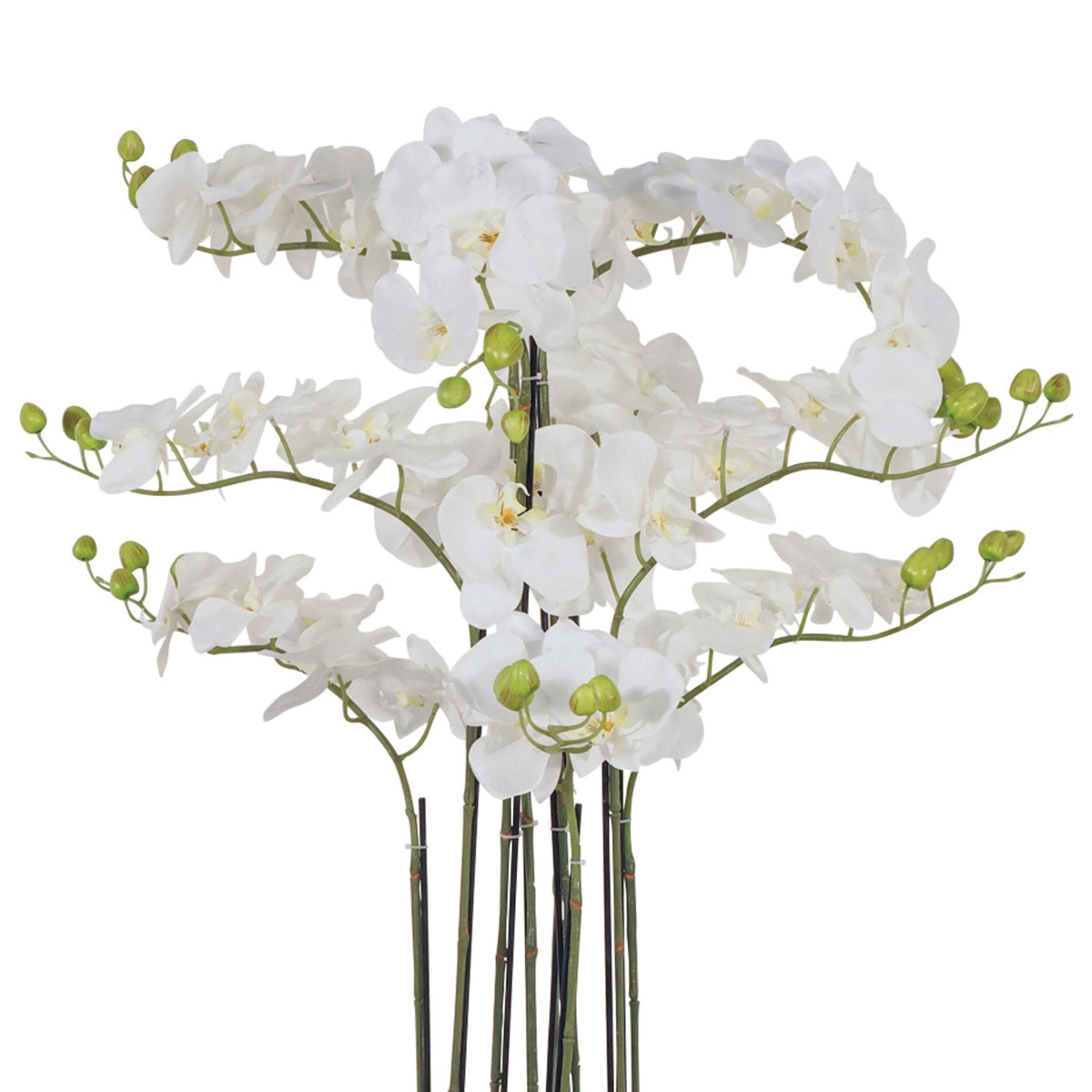 Fiore Orchid 9 Stems 110cm