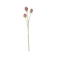 Bloomery Sweet William Stem Pink 71cm