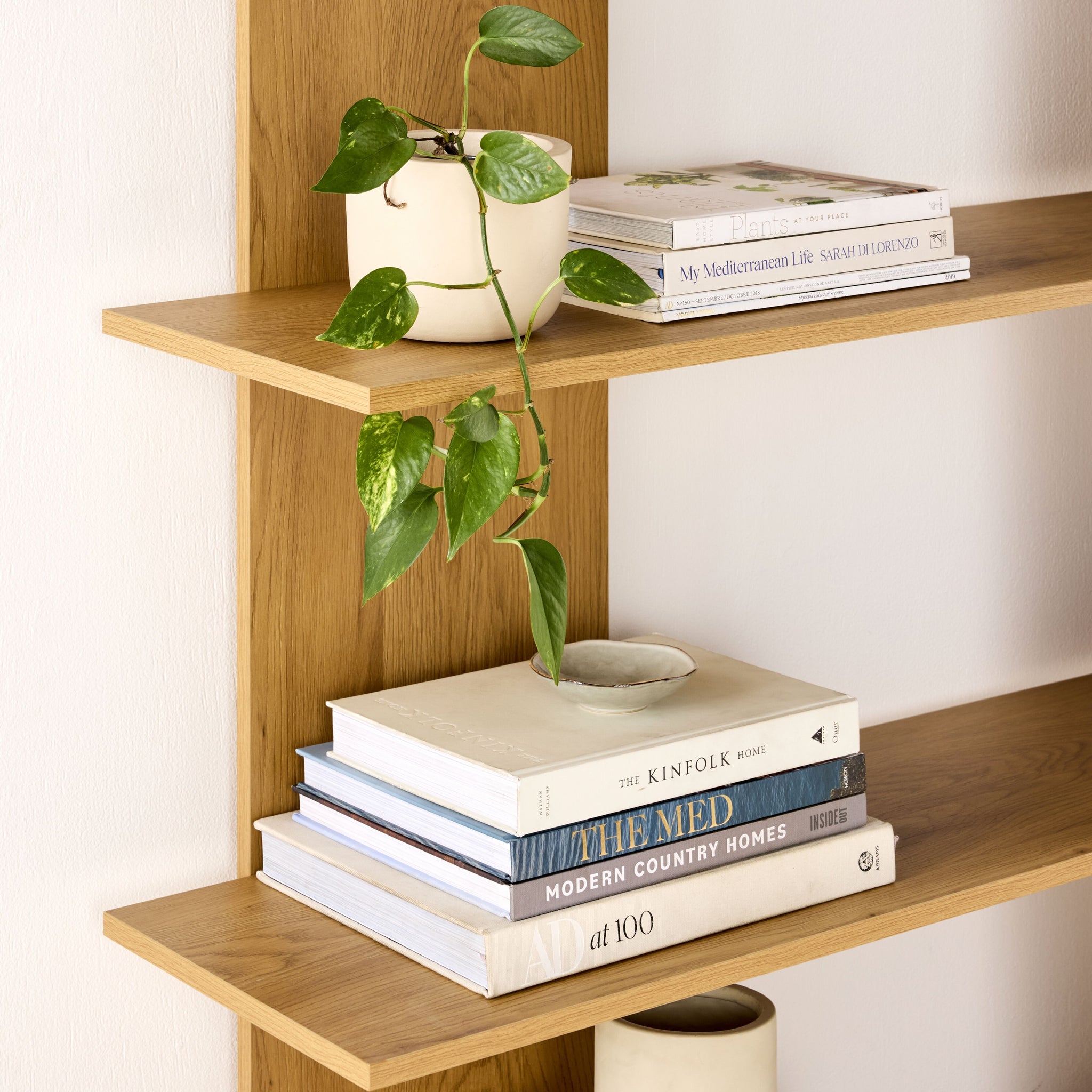 lifestyle_insitu: